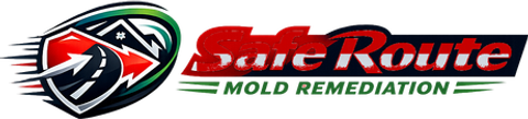 Safe Route Mold Remediation